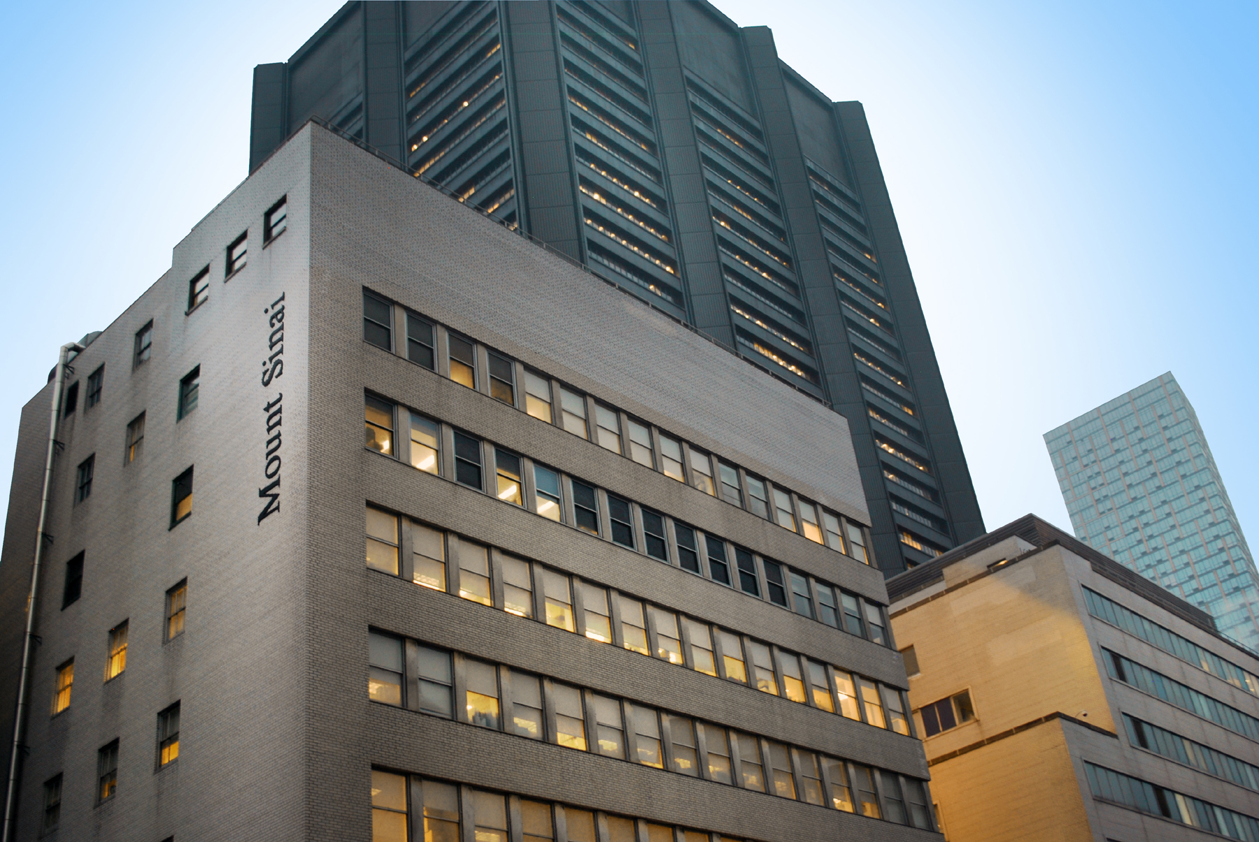 The Mount Sinai Hospital 